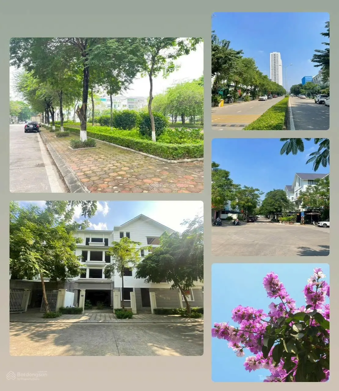 Quỹ hàng đẹp giá tốt tại khu D Geleximco
