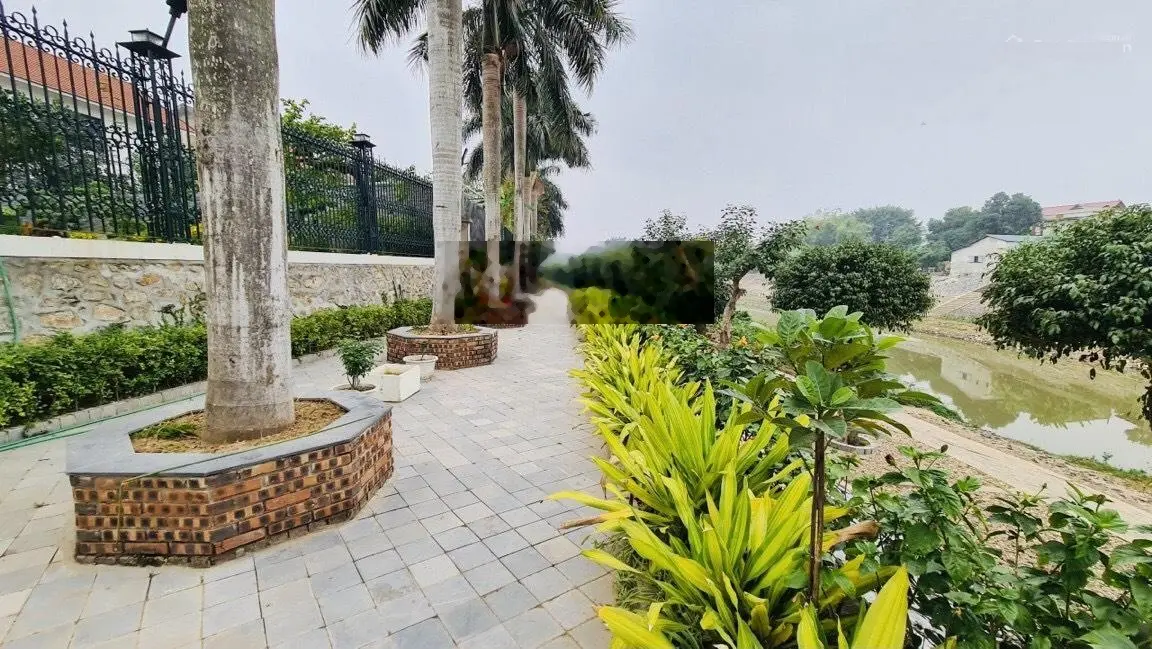 Biệt thự căn góc, liền thửa Đông Anh, giá sốc. Gọi chính chủ trang bìa!