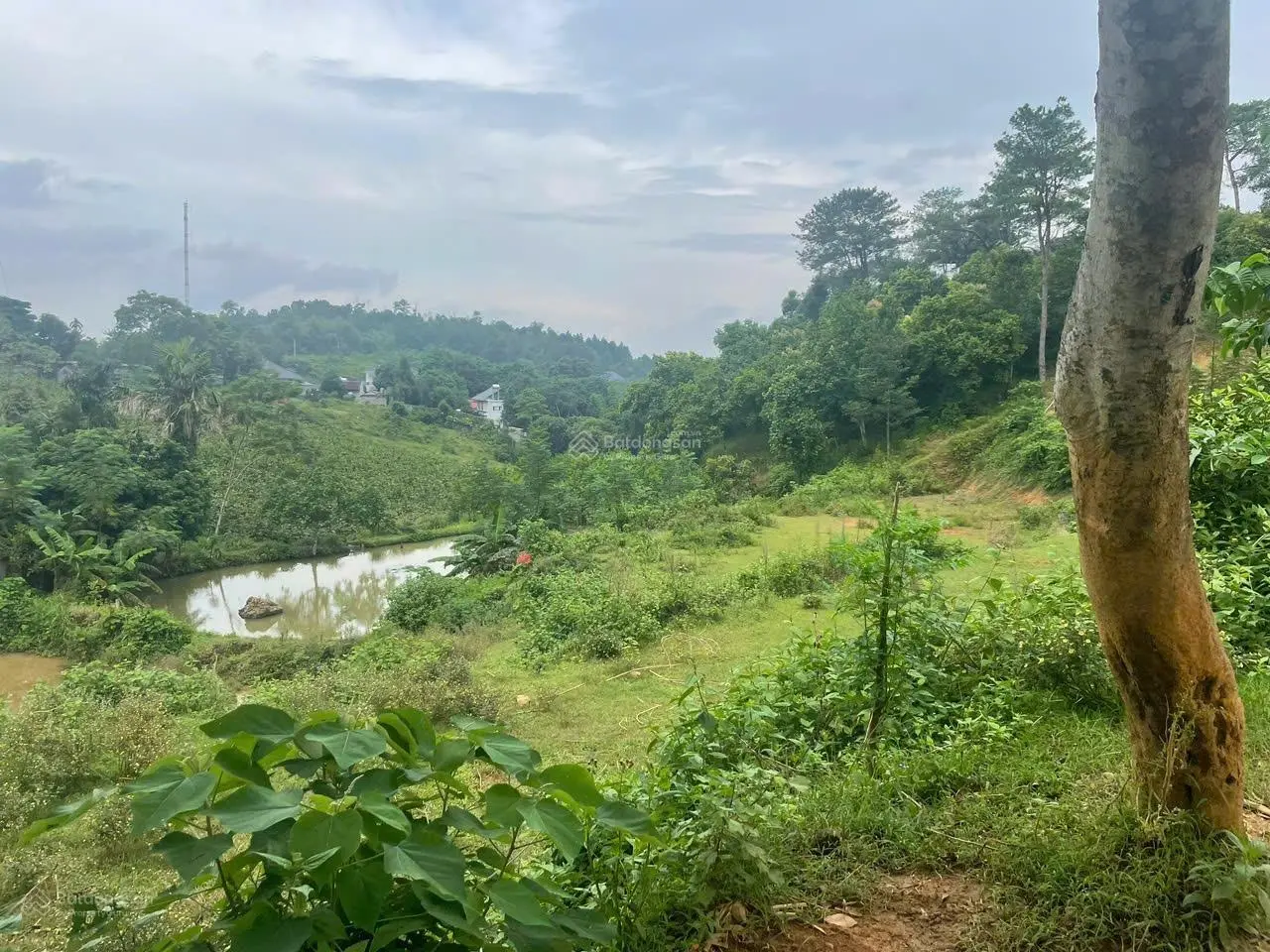 Chính chủ bán đất nghỉ dưỡng, homestay, lbiệt thự trung tâm xã Ba Vi, lưng tựa núi, view sông