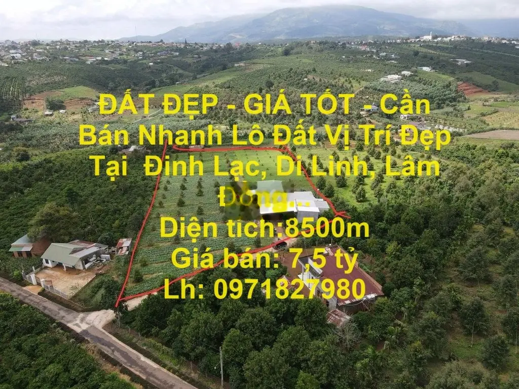 Cần Bán Nhanh Lô Đất Vị Trí Đẹp Tại Đinh Lạc, Di Linh, Lâm Đồng