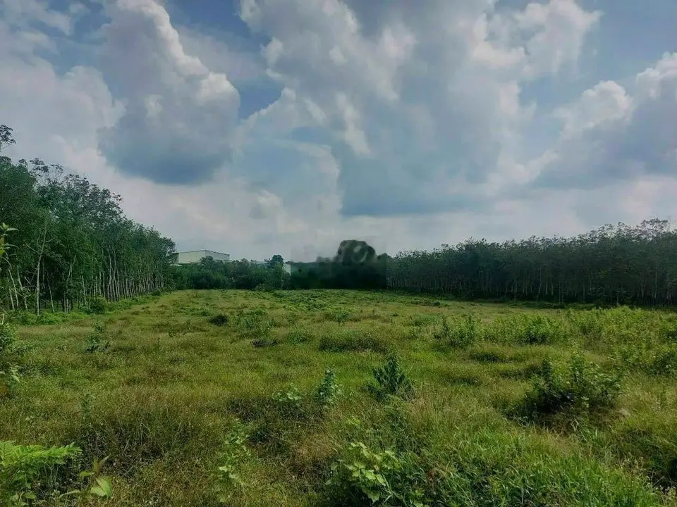 Siêu phẩm Dầu Tiếng lô đất 2000m2 sẵn thổ cư, sổ hồng riêng, giá ngộp