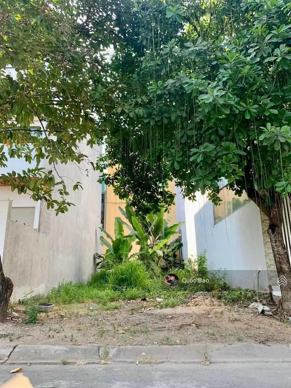 Sang nhượng gấp lô đất Đ. Nguyễn Đắc Thắng, TT Chợ Gạo, Tiền Giang, 120m2 full thổ cư, SHR