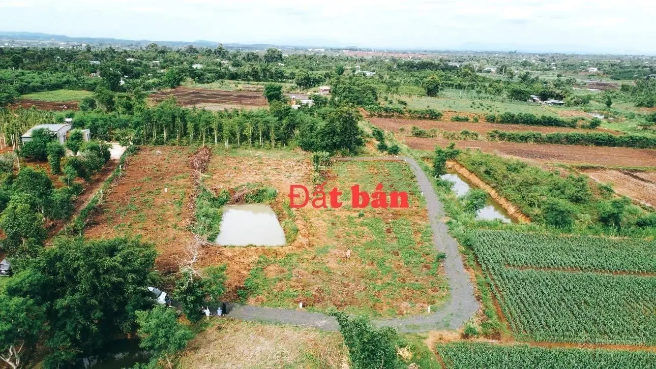 Bán 1000m2 đất Buôn Hồ Đắk Lắk, 100 m2 thổ cư