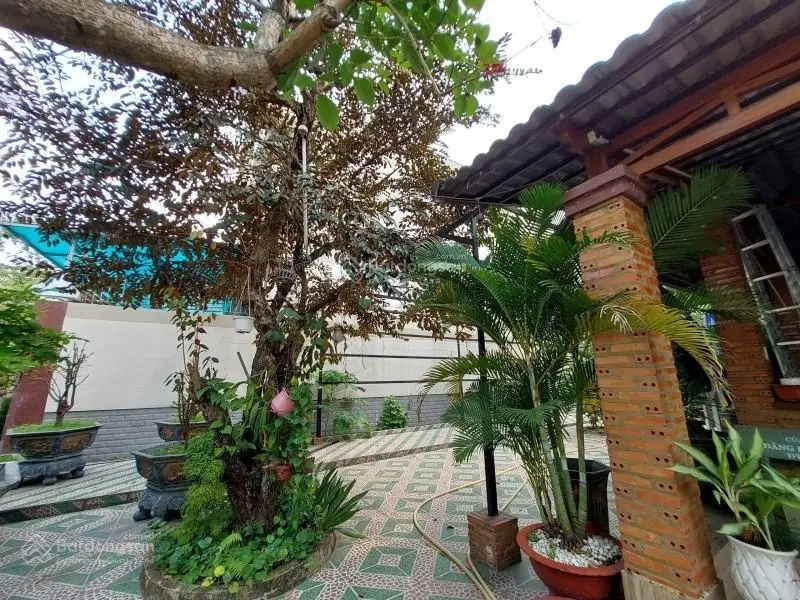 Bán nhà hẻm Đặng Thúc Vịnh, Đông Thạnh Hóc Môn 650m2 giá 41 tỷ