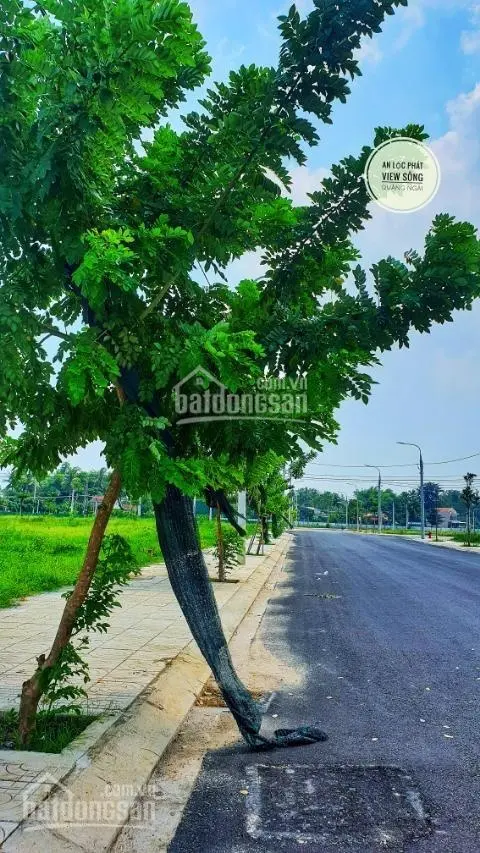 Chính chủ bán nhanh lô đất view sông khu dân cư An Lộc Phát, lô sạch đẹp, đã có sổ