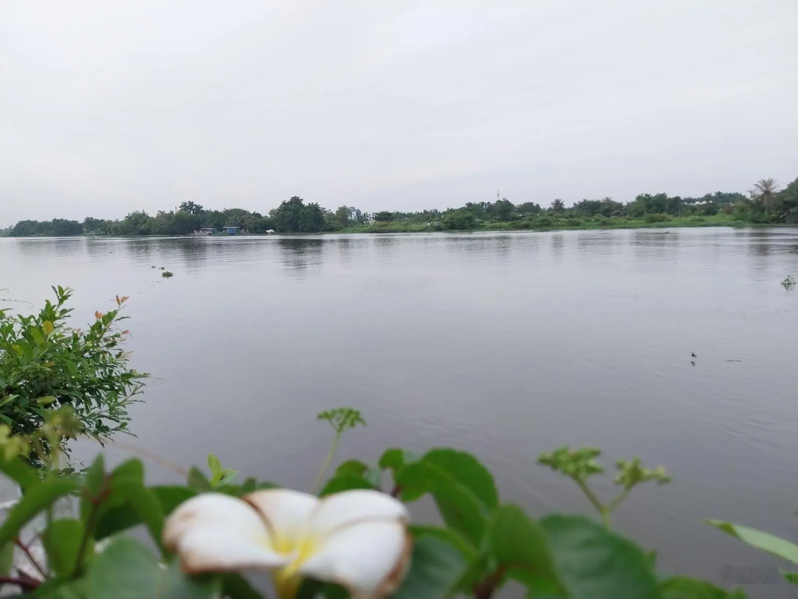 Bán căn 3 PN giá tốt, view ôm trọn sông Sài Gòn. Tầng trung, căn góc, trả trước 510 triệu nhận nhà