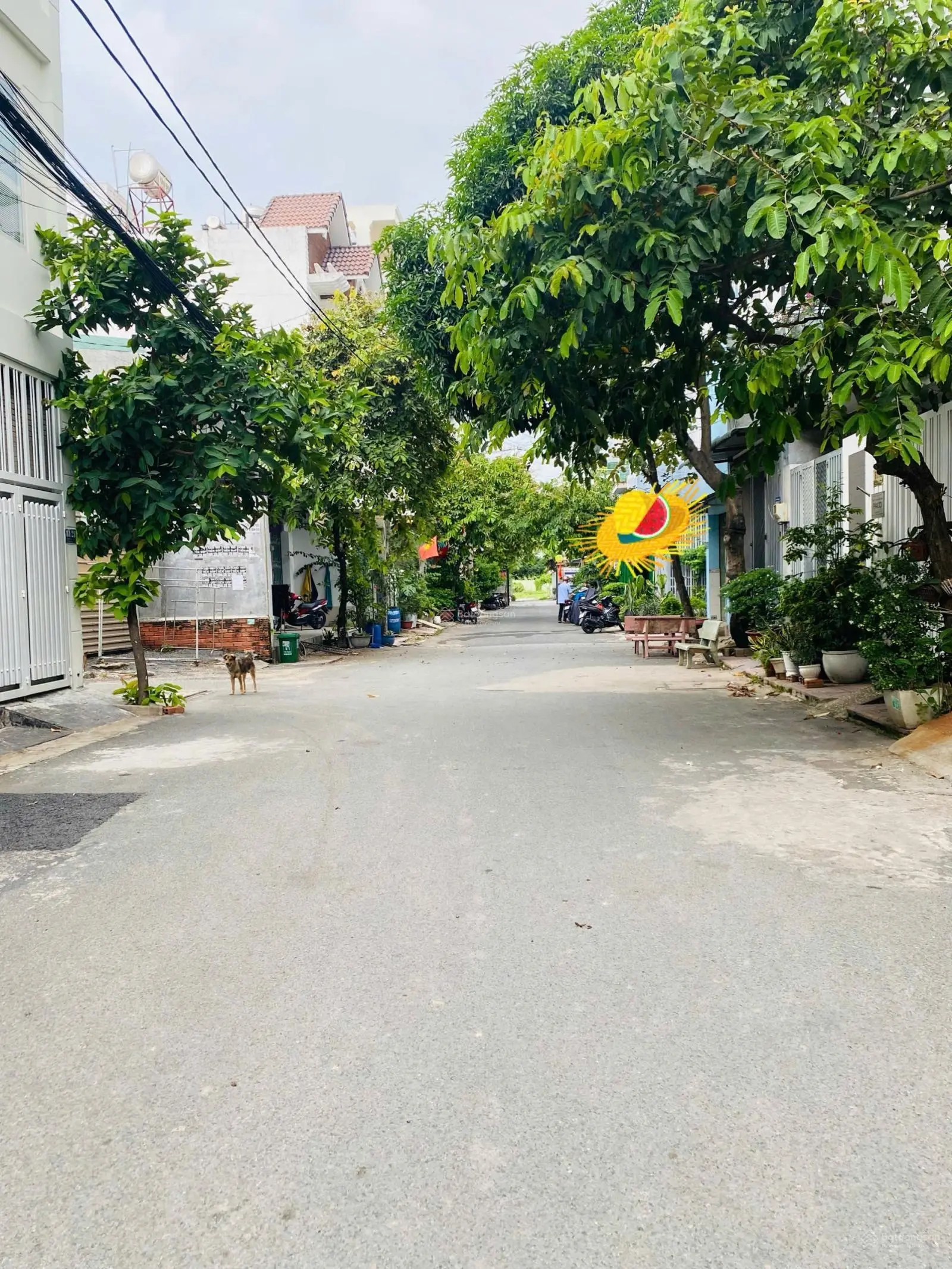 Siêu Hiếm !!! Nhà 1 Trệt 1 Lầu + Sân Thượng, Hẻm Ô Tô - Trường Thọ - Giá Chỉ Nhỉnh 7 Tỷ !