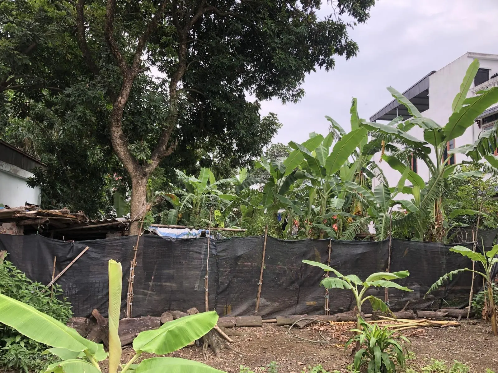 Bán 282m/200 thổ cư miễu tiến Xuân, giáp đại học quốc gia. Lô đất 2 mặt đường trước sau. Giá tốt.