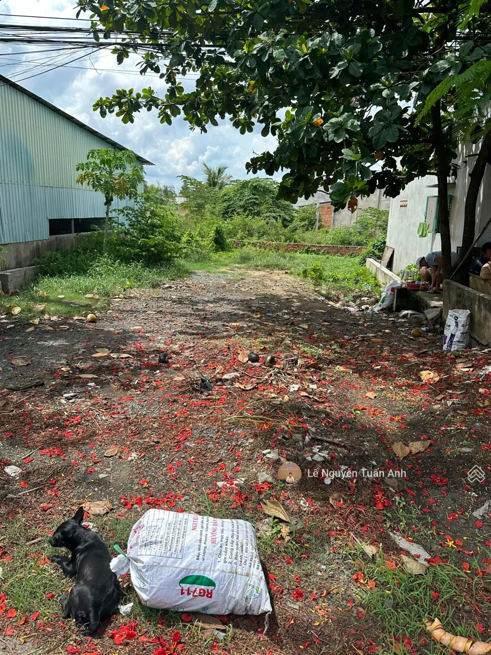 Bán gấp lô đất MTĐ Nam Kỳ Khởi Nghĩa, phường 3, cách sân vận động Tây Ninh 200m. 120m2/450tr SHR