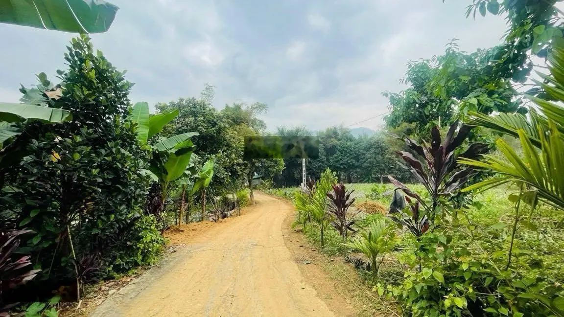 Cần bán lô đất tại TP Hoà Bình