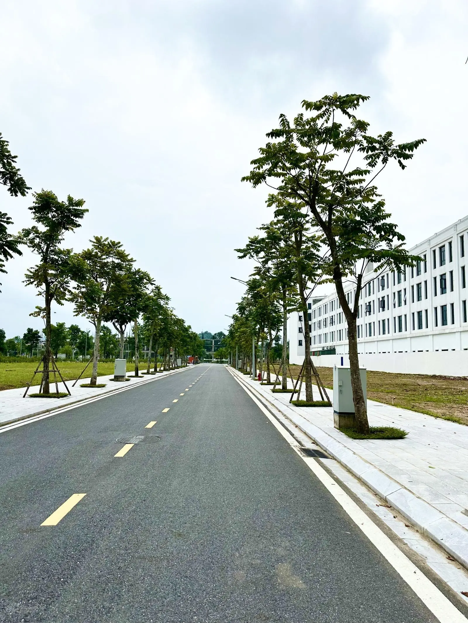 Bán Đất Nền Dự Án Danko City LK19 Hướng Nam Phong Thuỷ Tốt