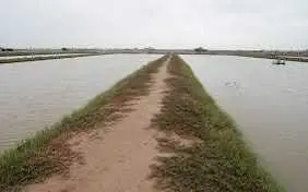 Bán đất tại Mỹ Xá, Nam Định. Diện tích 2800m2