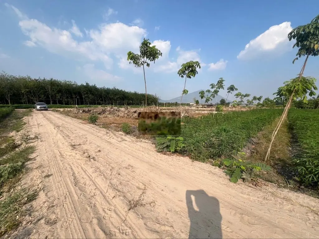 đất view suối siêu đẹp tại tp. tây ninh - chỉ từ 299 triệu