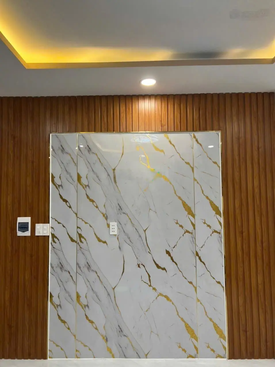 Bán NR 56m2, 4,45 tỷ ở Đình Phong Phú, Q9, HCM, giá ưu đãi, chính chủ