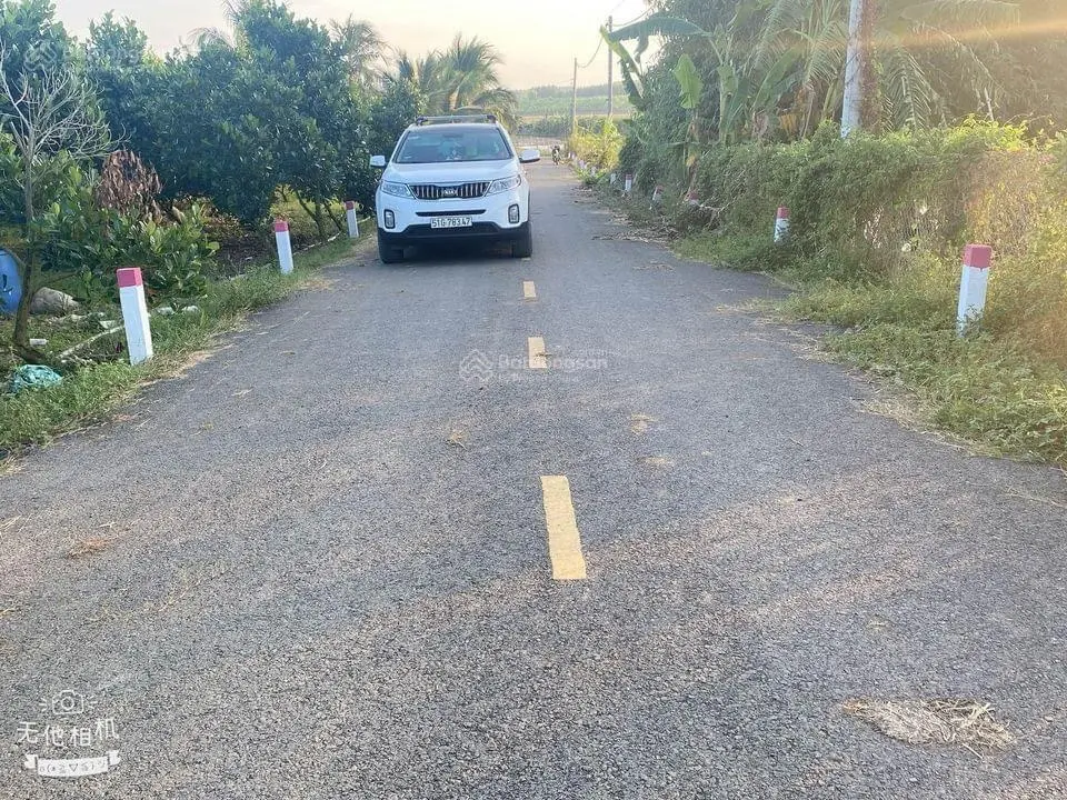 Bán vườn trái cây 1000m2 thổ cư 100m2 tại Láng Dài Đất Đỏ BRVT, mặt tiền 17m đường nhựa