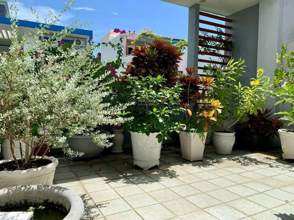 Sở hữu ngay căn nhà với vị trí tiềm năng vuông góc với phố thương mại Phan Đăng Lưu ngay hôm nay