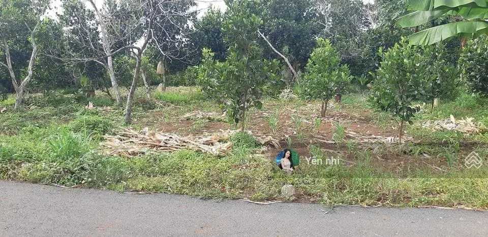 Cần bán đất Đ. Nguyễn Văn Lâu, P. 8, Vĩnh Long, 120m2, SHR