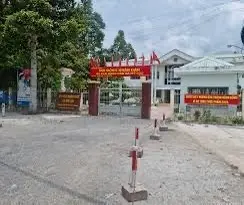 Bán lô đất tại thôn Viên Du, Xã Thanh Vân, Tam Dương, Vĩnh Phúc. 114m2, ô tô đỗ trước cửa. 1,65 tỷ.