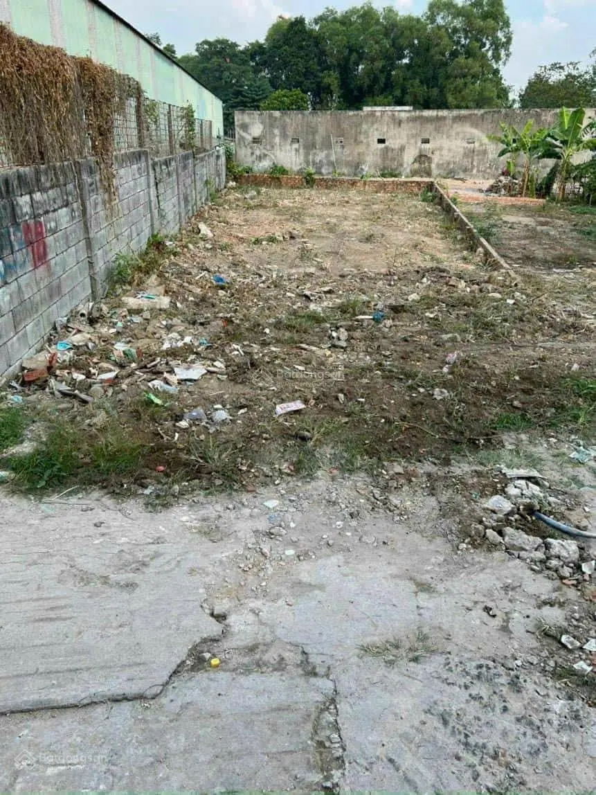 Cần bán gấp đất ở xã An Điền, Bến Cát 115m2