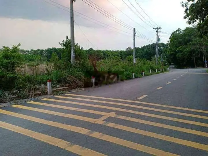 Bán Đất SKC nhà Xưởng thuộc Tân Uyên 5.200m² giá 23 tỷ