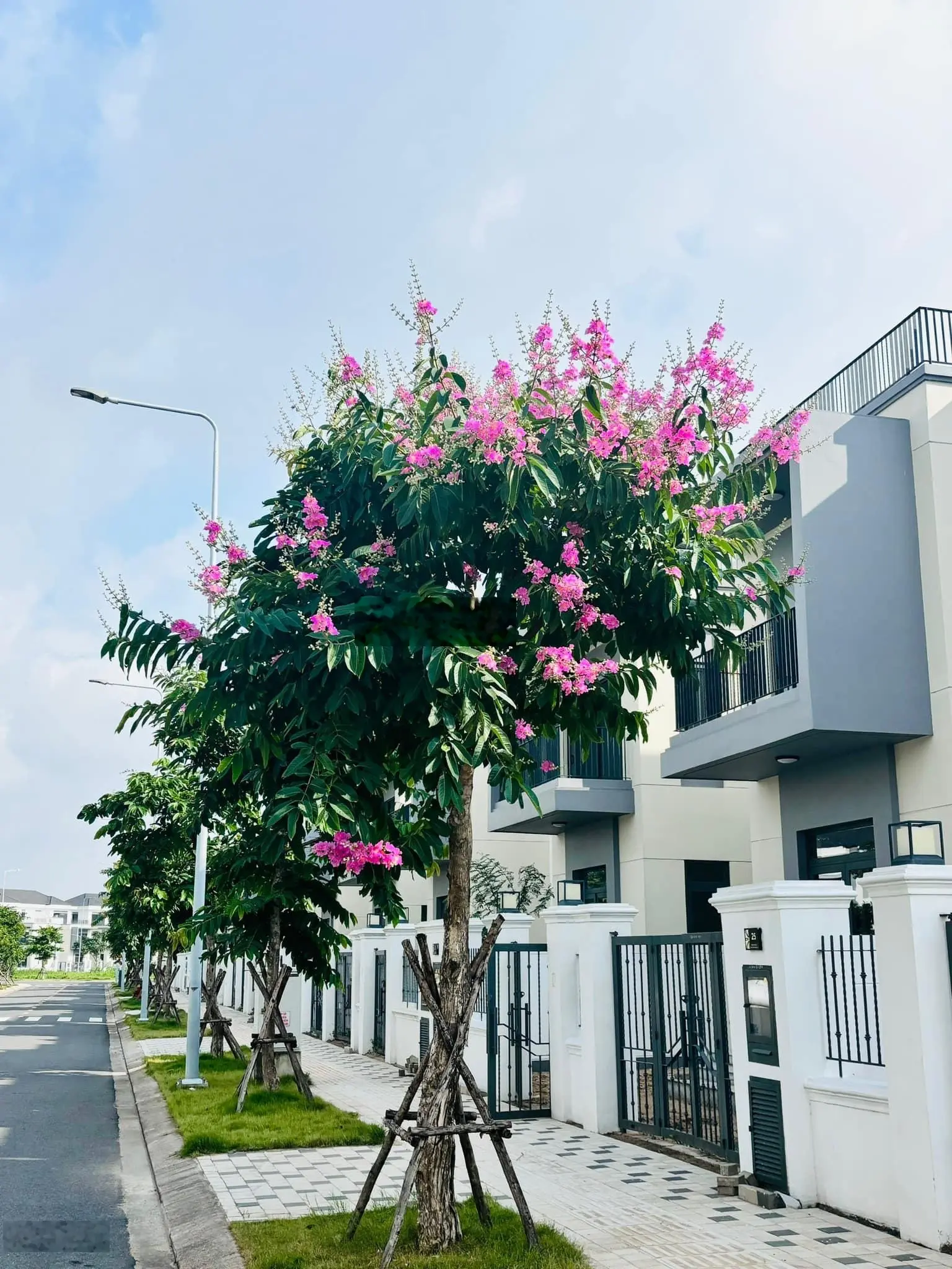 BÁN CẮT LỖ 1,2TỶ BAO PHÍ SANG TÊN CĂN NHÀ PHỐ 8X20 GIÁ GỐC 9,2 TỶ BÁN 8 TỶ KHU ELITE1 CẠNH SÔNG LỚN