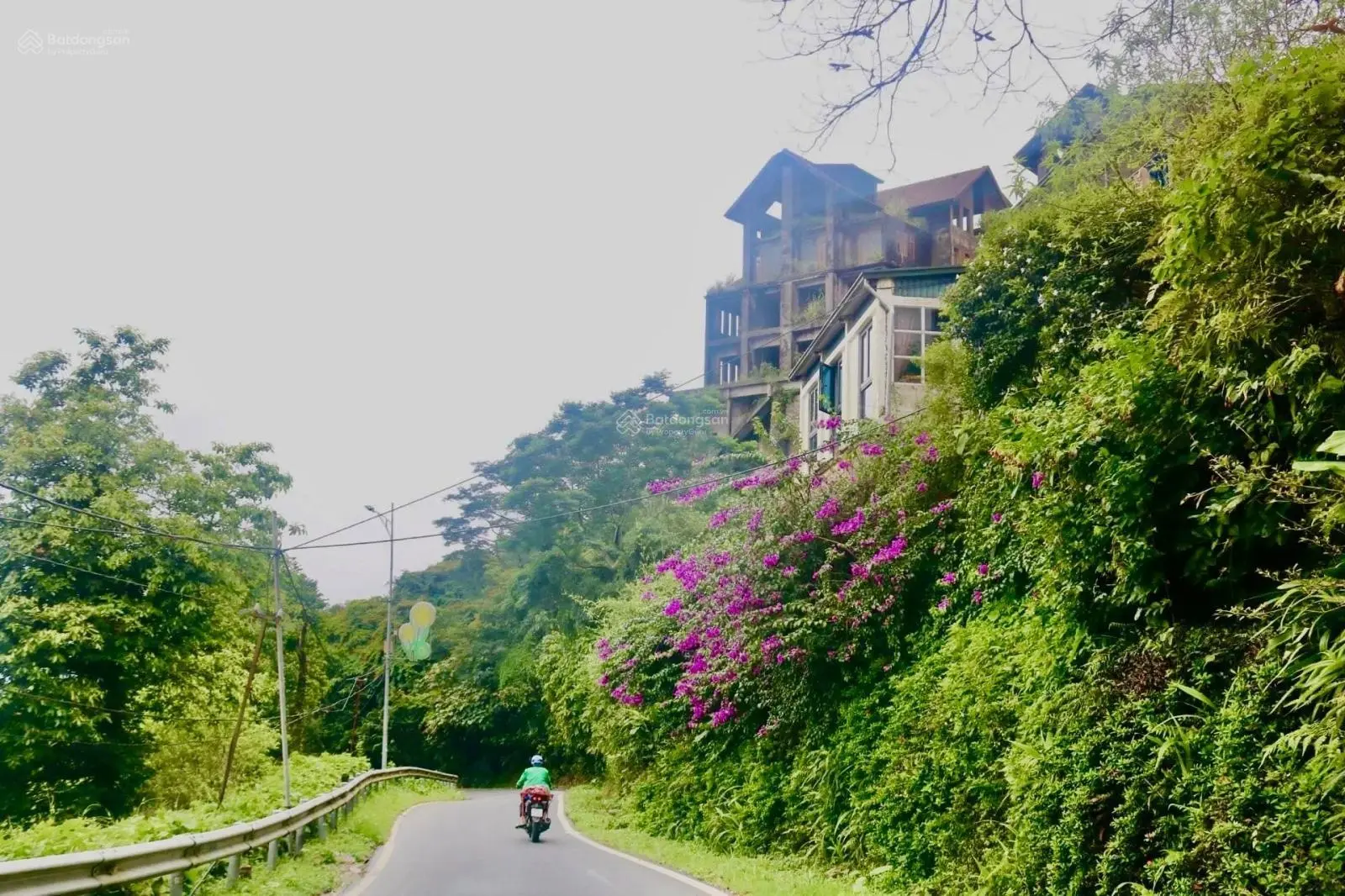 Gia đình tôi bán 7200m2 đất có suối trung tâm thị trấn Tam Đảo mặt đường 2B tặng 2 biệt thự 5 tầng
