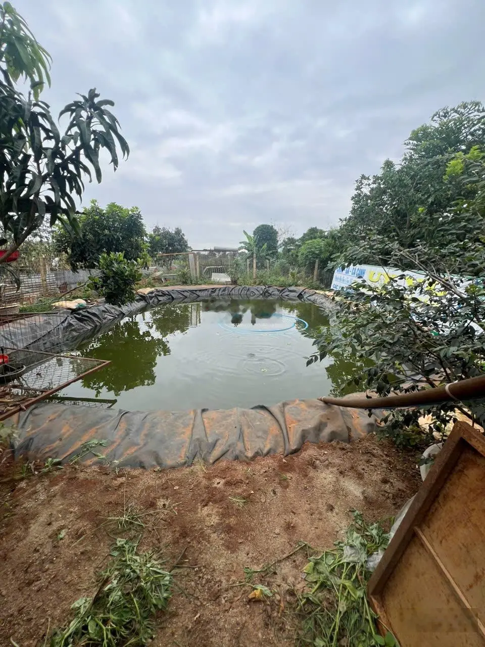 Bán căn nhà nghỉ dưỡng sân vườn 995m2 đầy đủ tiện nghi về sân bay Liên Khương chỉ 9km, chỉ 3,7 tỉ