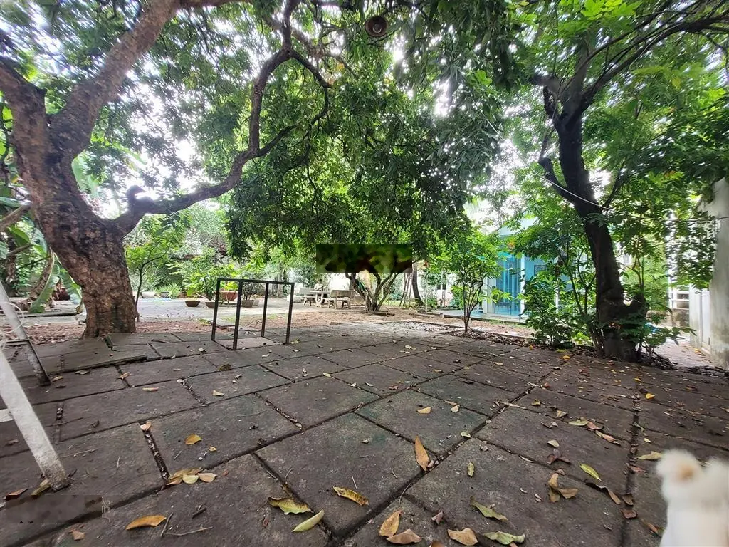 Bán biệt thự sân vườn, mặt tiền đường kd sầm uất, gần bv thủ đức, 870m2, chỉ 75 tỷ.