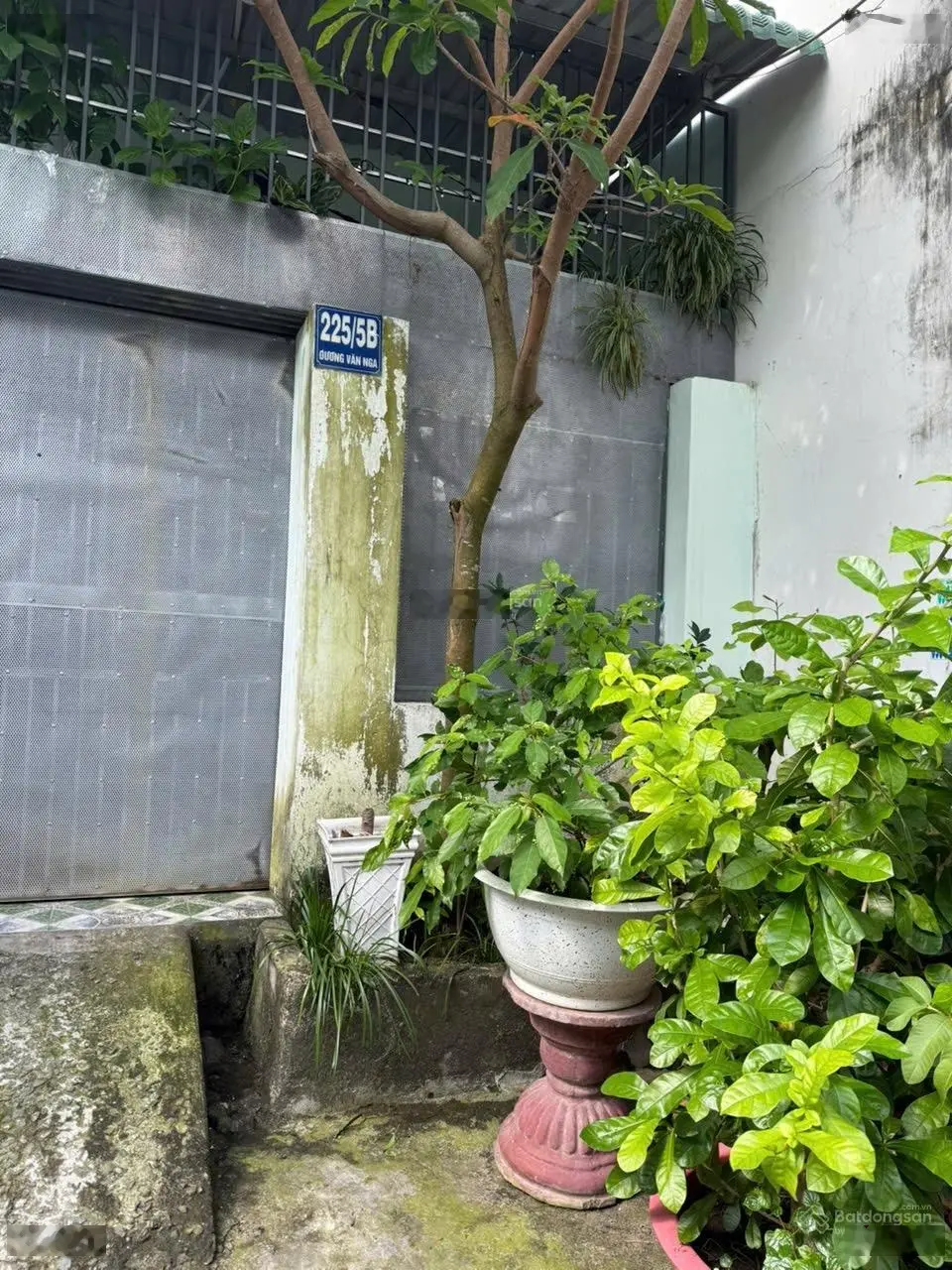 Nhà cấp 4 dương văn nga, vĩnh hải, nha trang - 83m2 ngang 5m - giá 2,1 tỷp