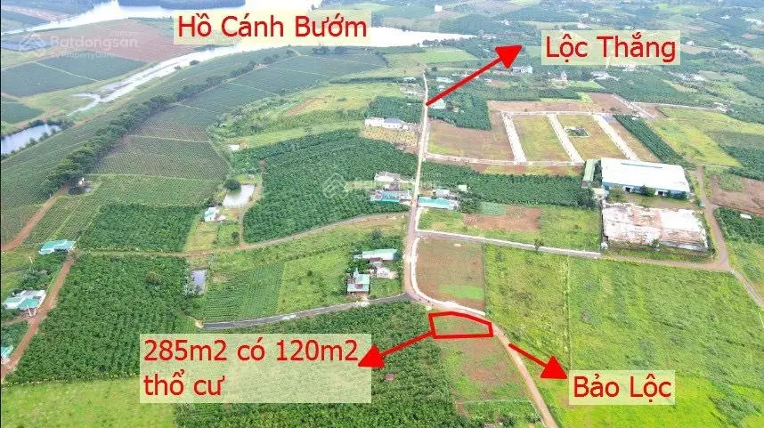 Đất chính chủ, sổ đỏ trao tay, vị trí đẹp, mặt tiền đường 17 view hồ Cánh Bướm, Lộc Quảng, Bảo Lâm