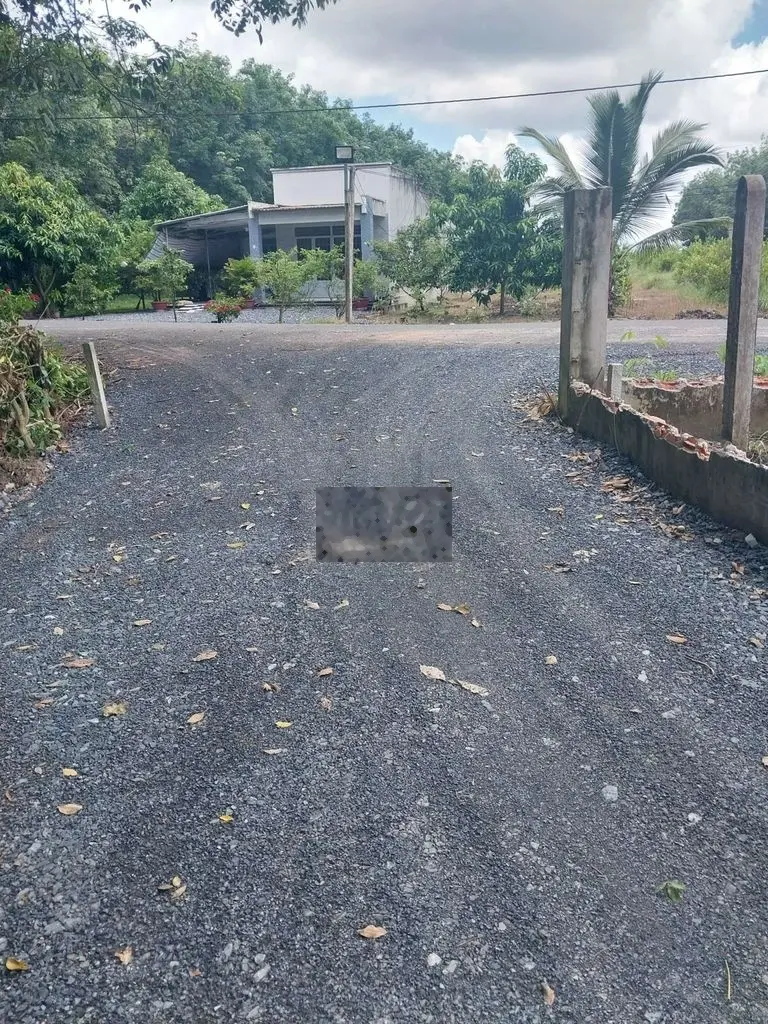 Bán đất Tân Phước, Tân Bình Tây Ninh