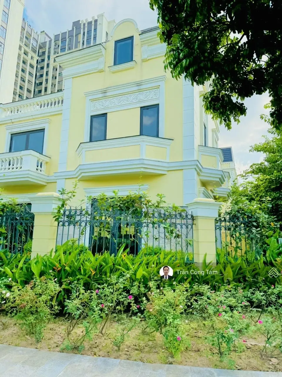Tổng hợp quỹ liền kề, biệt thự giá cực chất tại an lạc green symphony,