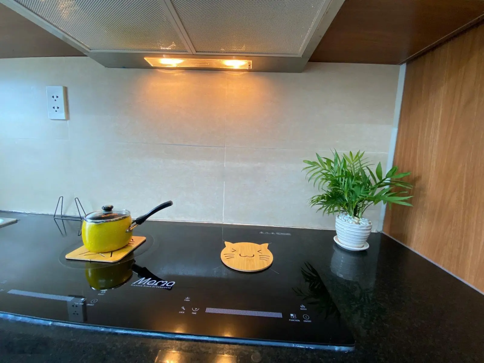 Chính chủ bán căn 2pn 2vs, DT 62m2 full nội thất