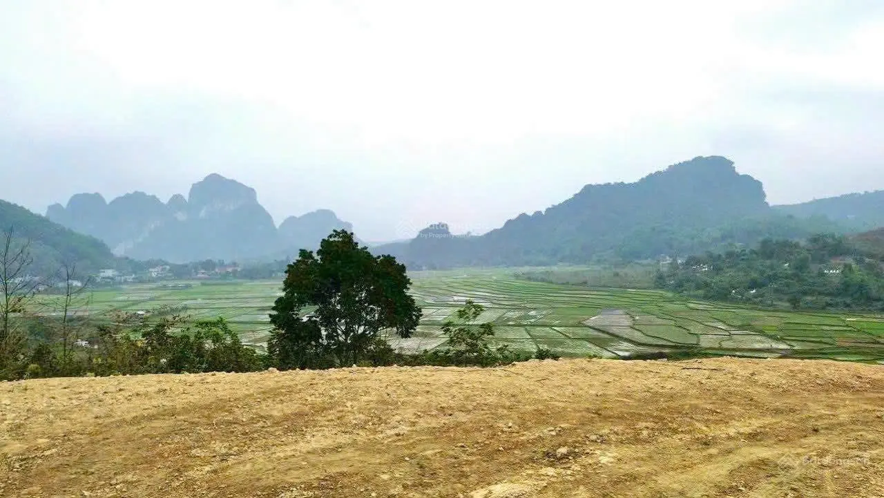 Bán siêu phẩm 9220m thổ cư 400m panorama tuyệt đẹp tại Cao Sơn, Lương Sơn, Hoà Bình