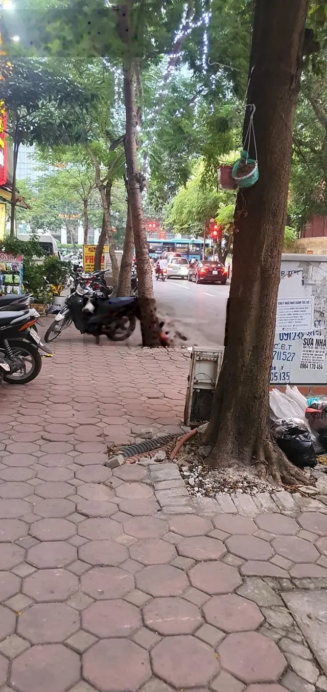 Bán tòa nhà văn phòng siêu vip 8T, 60m2 Phạm Tuấn Tài - mặt phố quận Cầu Giấy