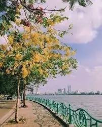 Cần bán nhà mặt Phố Từ Hoa, Tây Hồ, Hà Nội. Lh 0945 289 ***