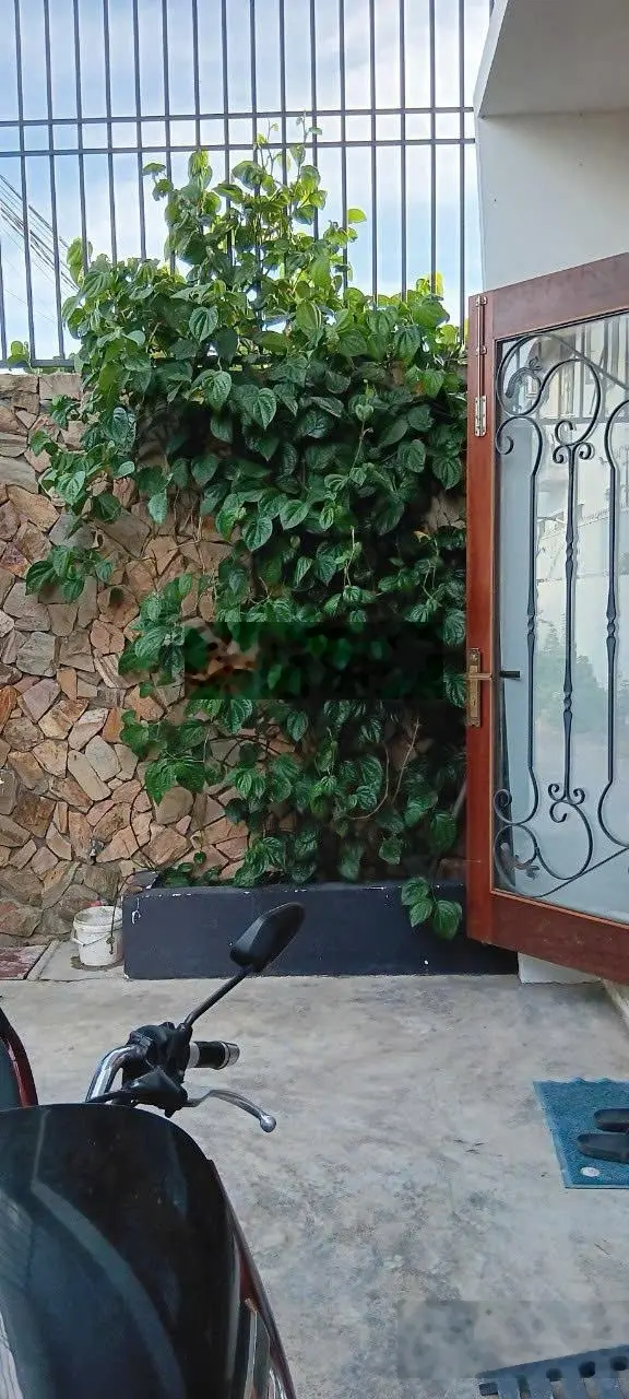 Bán gấp căn nhà 4 tầng vừa mới vừa đẹp tại Diên Khánh DT 76,6m2, có sân để xe, giá 3ty050 có TL