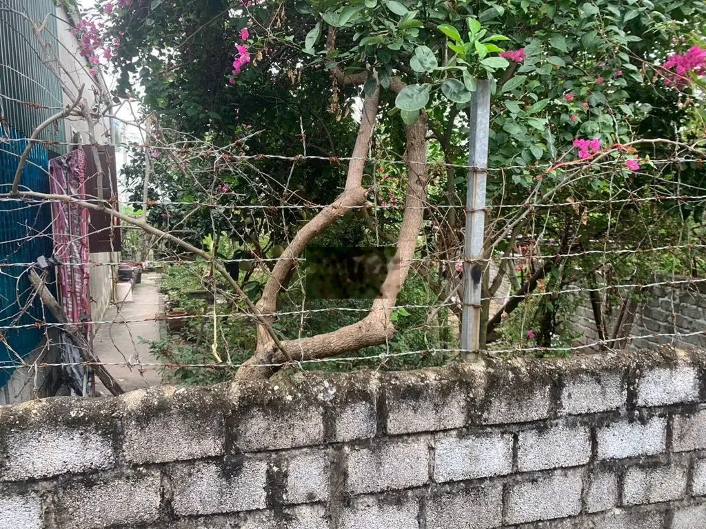 76M ĐẤT THỊ TRẤN PHÚ XUYÊN CHƯA TỚI 1 TỶ