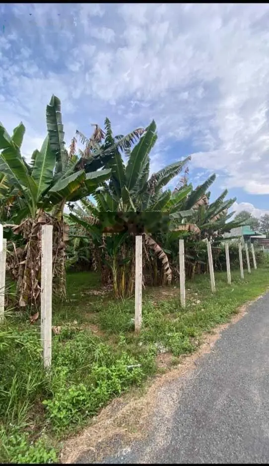 Bán đất 15*21m thổ cư toàn bộ đường xe tải ngay khu TTC Mekong Park