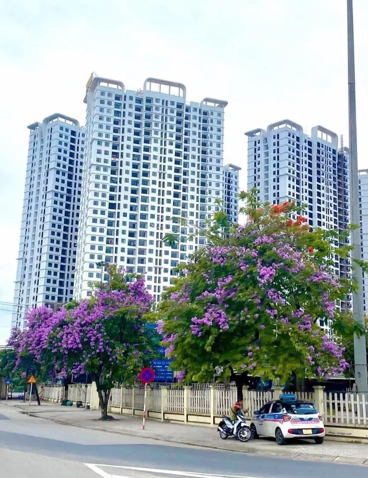 Chỉ Với 982tr Đầu Tư Sau 2 Năm Nhận Lãi 268tr.Lh0902 174 ***