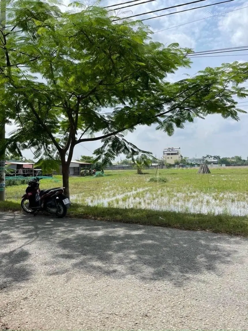 Bán 2469m2 đất nông nghiệp mặt tiền tRương Thị Như Xuân Thới Sơn, Hóc Môn, giá 22 tỷ