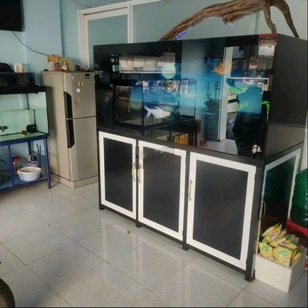 Chủ bán cá bể nợ. Bán giá mặt tiền 710 triệu. Sài gòn mua đc