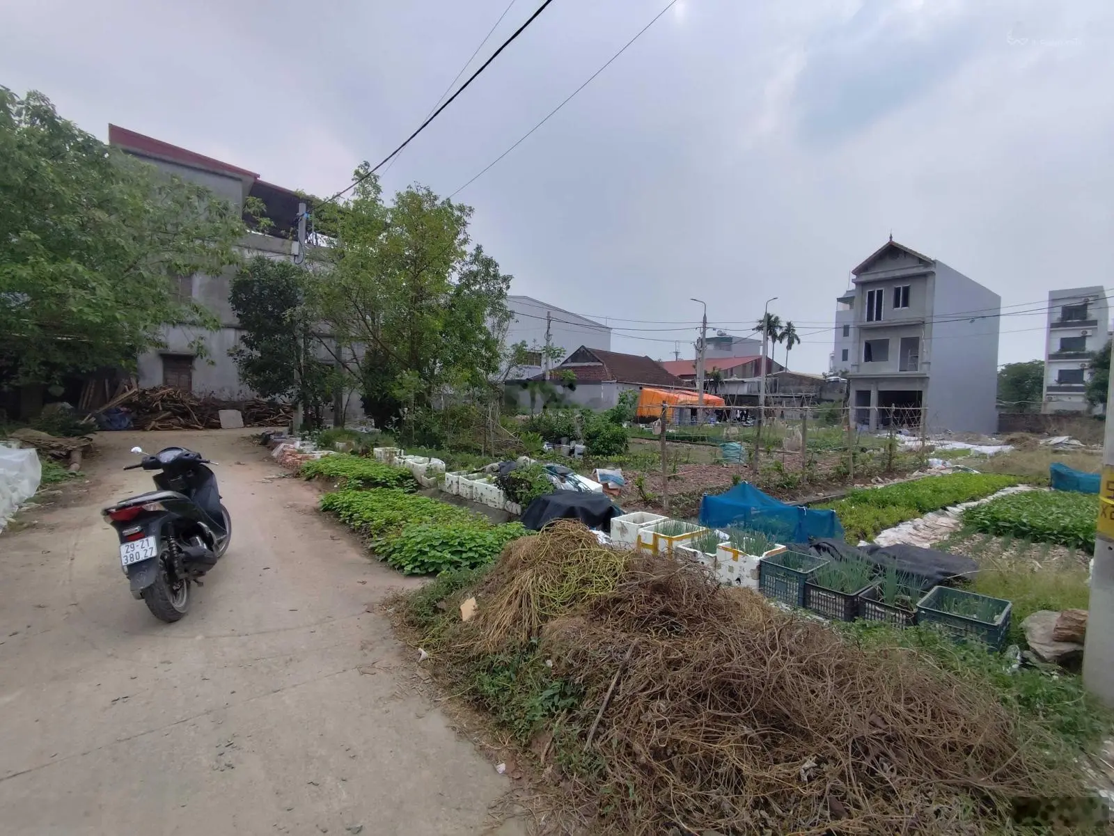 Bán 54m MT gần 4m đất đấu giá X1 xã Lại Yên. Đường oto thông, gần Hồ thoáng mát. Sổ đỏ chính chủ.