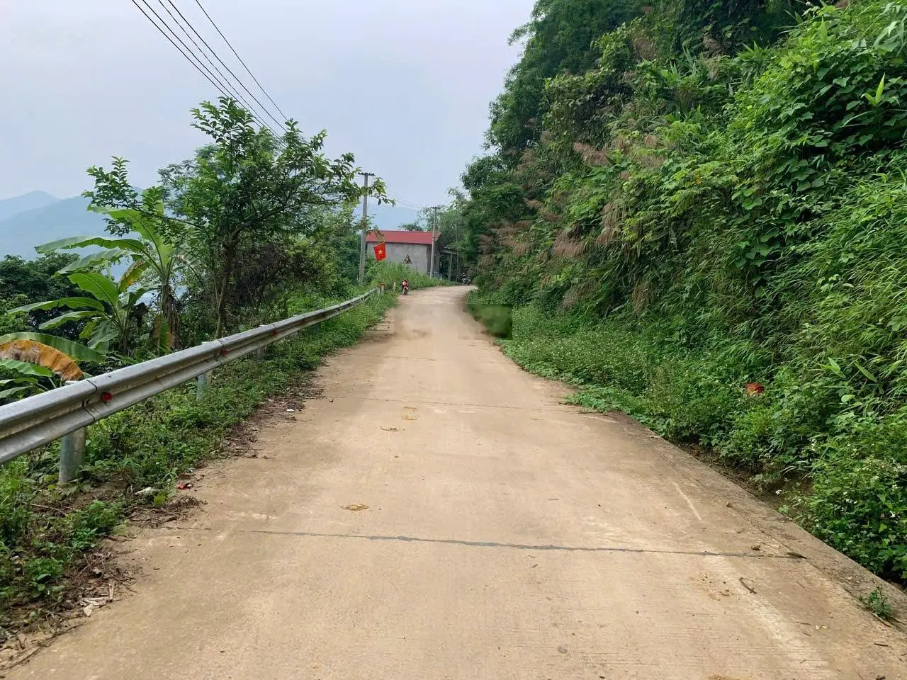 Siêu phẩm 1700m2 đất ở đô thị 240m2 còn lại là đất vườn trồng cây lâu năm tại Thái Bình, Hòa Bình
