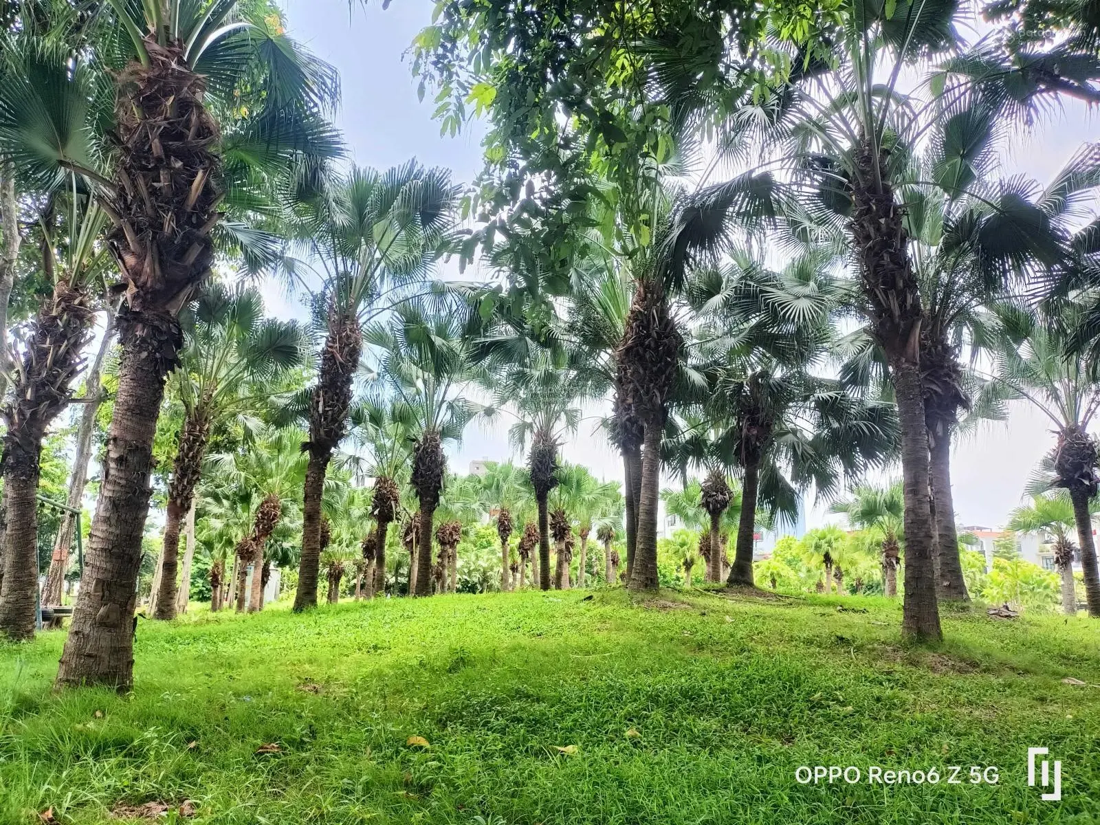 Bán đất view công viên Phú Điền, Tân Hồng