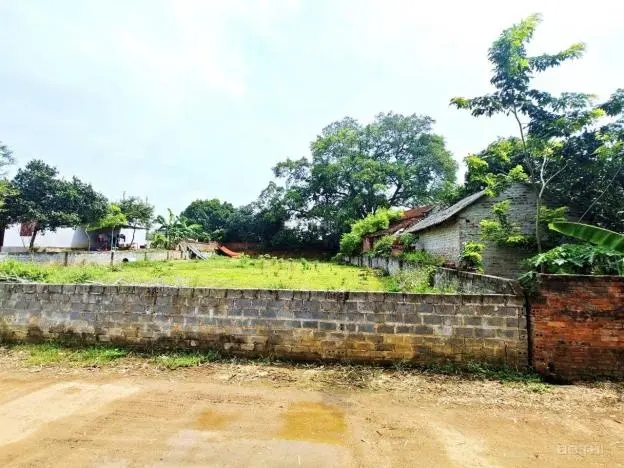 ĐẤT ĐẸP THÔN 2 PHÚ CÁT GIÁ RẺ ĐẦU TƯ SINH LỜI HIỆU QUẢ