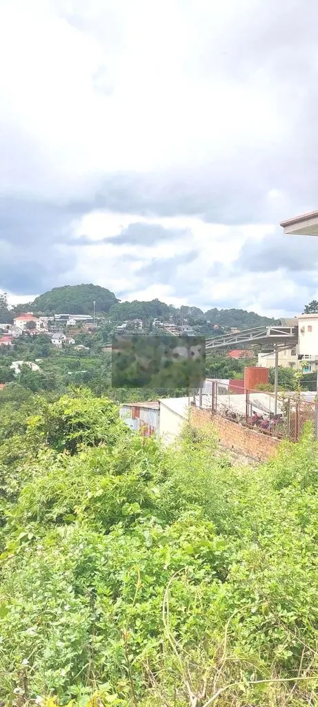 🏠816M LÔ ĐẤT KHE SANH P10 ĐÀ LẠT 🌲VIEW RỪNG THÔNG
