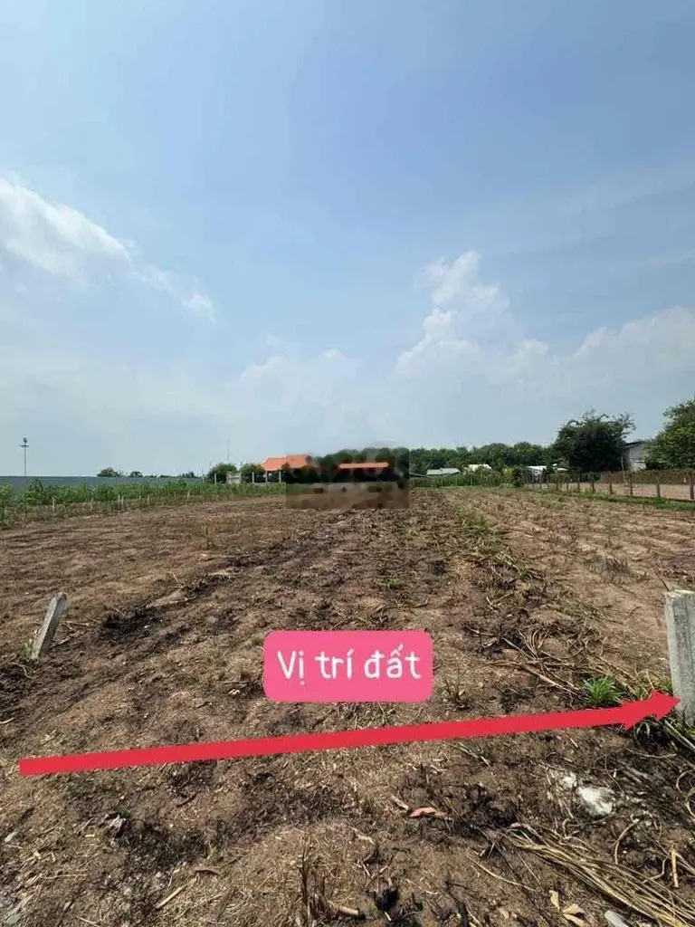 Siêu phẩm Chân Dài, GIÁ RẺ , 475tr (5x65m) TX.Trảng Bàng ,TN
