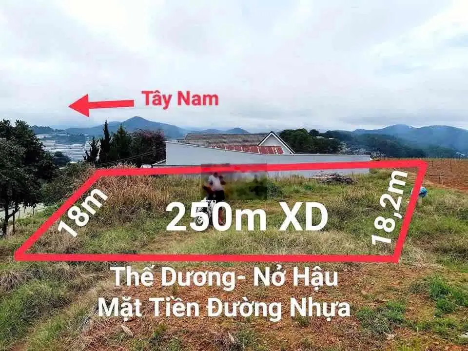 Đáo hạn ngân hàng cần bán gấp lô đất view 360° tại Xuân Thọ giá 680tr