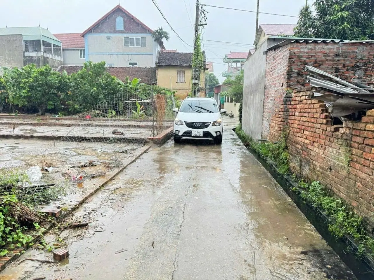 Bán đất tại xã Thanh Lâm, Mê Linh, bán đất tại xã Thanh Lâm, Mê Linh, Hà Nội, 3 tỷ vnd, 101.8 m2